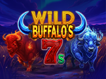 Arrow’s Edge | Wild Buffalo's 7's