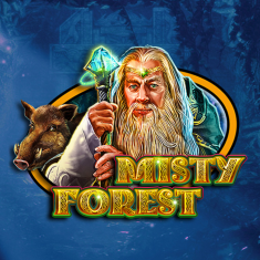 CT- Interactive | Misty Forest