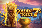Arrow’s Edge | Golden Tiger’s 7’s