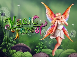 Caleta Games | Magic Forest