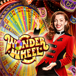 ENJOY | Wonder Wheel