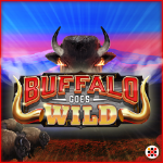 Mancala Games | Buffalo Goes Wild