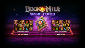 Netgame | Book of Nile: Magic Сhoice