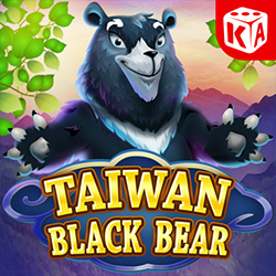 KA Gaming | Taiwan Black Bear