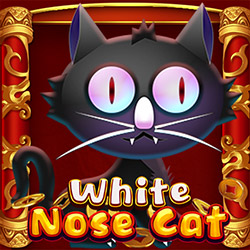 KA Gaming | White Nose Cat