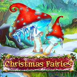 Boldplay | Christmas Fairies