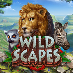 Boldplay | Wildscapes