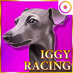 Onlyplay | Iggy Racing