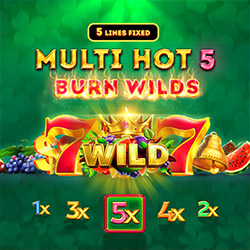 Smartsoft Gaming | Multi Hot 5 Burn Wilds