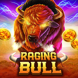 TPG | Raging Bull
