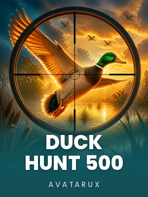 Duck Hunt 500