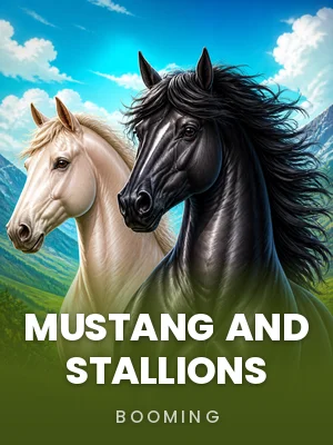 Booming | Mustang and Stallions