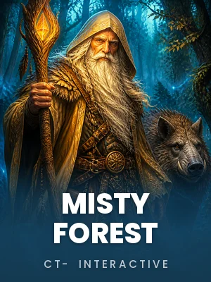 CT- Interactive | Misty Forest
