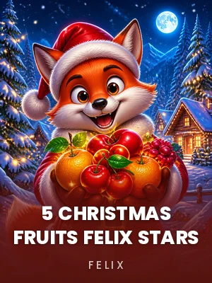 Felix | 5 Christmas Fruits Felix Stars