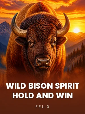 Felix | Wild Bison Spirit Hold And Win