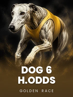 Golden Race | Dog 6 H.Odds