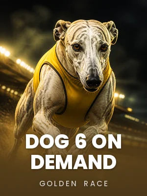 Golden Race | Dog 6 On Demand