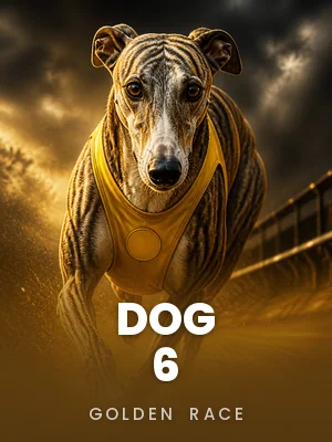 Golden Race | Dog 6