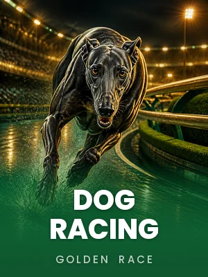 Golden Race | Dog Racing