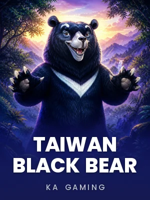 Taiwan Black Bear