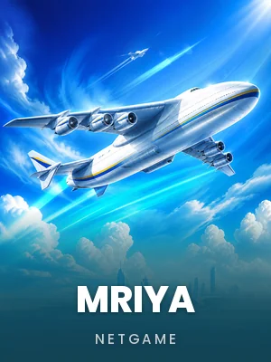 Netgame | Mriya