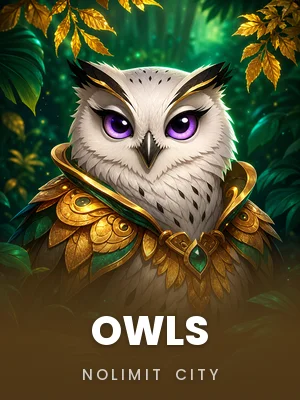 Nolimit City | OWLS