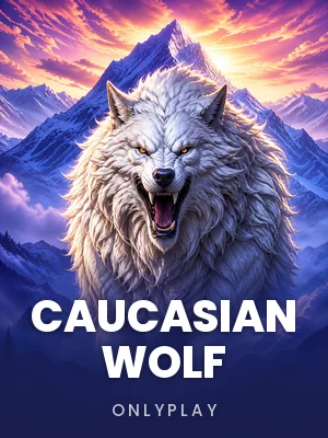 Caucasian wolf