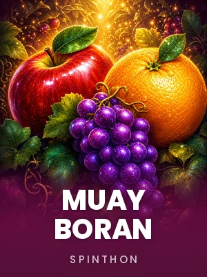 Muay Boran