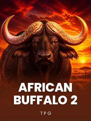 TPG | African Buffalo 2